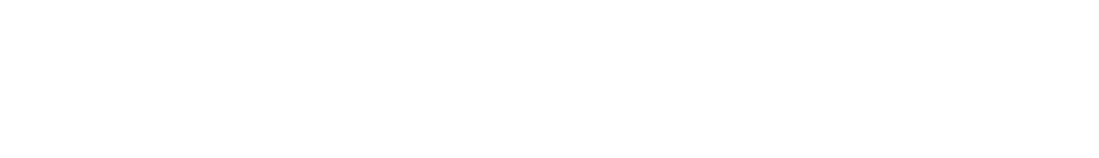 YWNlogo1line